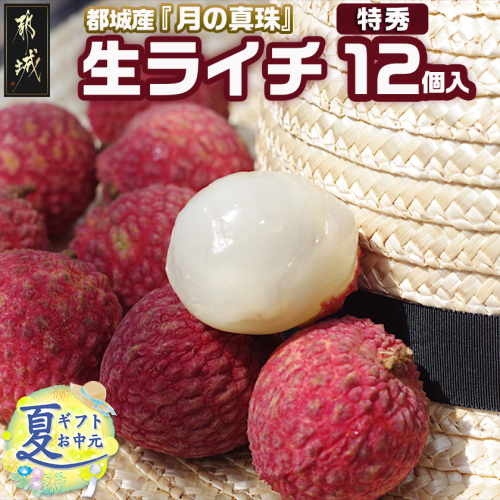 【お中元】都城産生ライチ『月の真珠』《特秀》12個入_AD-F503-7-SG 2148463 - 宮崎県都城市