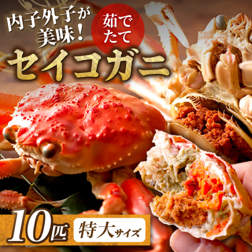 【蟹の匠 魚政】内子外子が美味! 茹でたて セイコガニ（セコ蟹）（香箱ガニ）（こっぺ）特大サイズ 10匹セット
 2148466 - 京都府京丹後市
