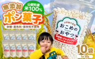 おこめのおやつ 10袋セット【株式会社キゴコロ】 [YDZ001]