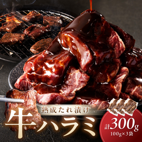 たれ漬けハラミ 1パック100ｇ×3袋
 2148795 - 京都府京丹後市