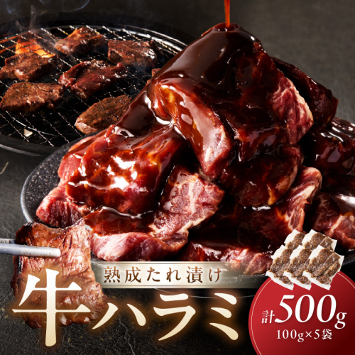 たれ漬けハラミ 1パック100ｇ×5袋
 2148796 - 京都府京丹後市