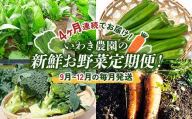 4ヶ月連続でお届け!いわき農園の新鮮お野菜定期便![9月〜12月の毎月発送][沖縄・離島配送不可]山田町 三陸山田 農産品 農家 ほうれん草 オクラ ブロッコリー 人参 野菜定期便 YD-869