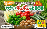 [年2回夏秋定期便]久万高原やさいギュギュっとBOX | 愛媛県 久万高原町 道の駅 みかわ 産地直送 お試し 新鮮 もぎたて 旬の味覚 定期便 夏 7月 秋 11月 発送 年2回 ※離島への配送不可