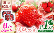 【2025年11月配送】 長崎県産 いちご ゆめの香 約1kg（250g×4パック）長崎県/わたる農園 [42AABB001] くだもの 果物 フルーツ いちご イチゴ 苺 ゆめの香 ゆめのか 1キロ 1kg 長崎 長崎県 お取り寄せ おすすめ 農家 産地 直送