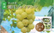 真庭市産 瀬戸ジャイアンツ 特選 3〜4房 ぶどう 岡山 真庭 葡萄 2025年9月中旬以降発送予定 果物 フルーツ ブドウ 人気 数量限定 皮ごと 種なし 産地直送 甘い 新鮮 数量限定 桃太郎ぶどう 大粒 新食感 フルーツ王国 人気上昇中 ギフト 贈答用 [seto04]