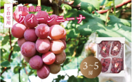 真庭市産 クイーンニーナ 2kg前後 ご自宅用 ぶどう 産地直送 岡山 真庭 赤ブドウ 2025年9月中旬以降発送予定 真庭市 大粒 葡萄 果物 フルーツ 濃厚 人気 数量限定 ブドウ ボリューム感 日持ち 甘い 果汁 ジューシー 赤ぶどう[queennina02]