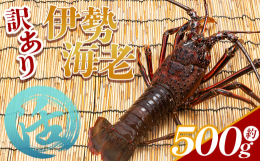 高知県香南市にある漁港、吉川漁港では旬の魚介類が水揚げされています。そんな吉川漁港で水揚げされた伊勢海老をお届けします。プリプリで弾力の強い、活伊勢海老。産地直送の厳選伊勢海老をぜひ刺身などでお楽しみ