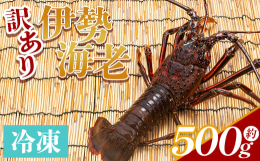 【加熱調理におすすめ！！】高知県香南市にある漁港、吉川漁港では旬の魚介類が水揚げされています。そんな吉川漁港で水揚げされた伊勢海老をお届けします。プリプリで弾力の強い、伊勢海老。産地直送の厳選伊勢海老