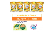 HERSバスラボ ボトル ゆずの香り 540g×5本セット(135回分）