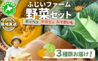 キャベツ2玉 かぼちゃ(訳あり)2玉 じゃがいも800g セット