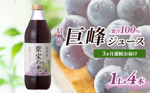 3ヵ月連続お届け 信州産 巨峰ジュース 果汁100% 「紫宝の恵」 (1L×4本) 2150299 - 長野県長野市