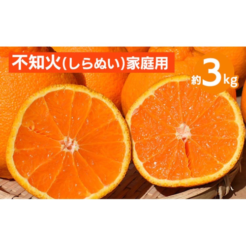 和歌山産　不知火 約3kg【家庭用】 ※2026年2月上旬～4月下旬頃より順次発送予定 2150327 - 和歌山県美浜町