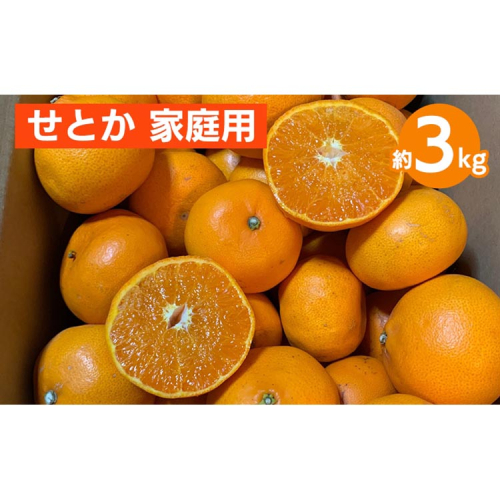 せとか　約3kg　家庭用 ※2026年2月下旬～4月中旬頃より順次発送予定 2150328 - 和歌山県美浜町