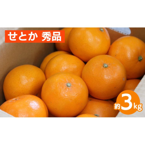 せとか　約3kg　秀品 ※2026年2月下旬～4月中旬頃より順次発送予定 2150329 - 和歌山県美浜町