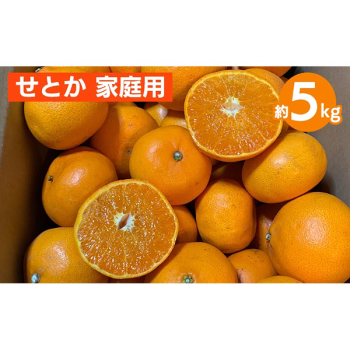 せとか　約5kg　家庭用 ※2026年2月下旬～4月中旬頃より順次発送予定 2150330 - 和歌山県美浜町