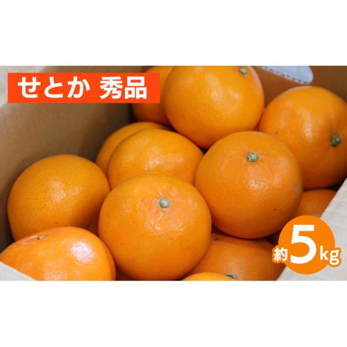 せとか　約5kg　秀品 ※2026年2月下旬～4月中旬頃より順次発送予定 2150331 - 和歌山県美浜町