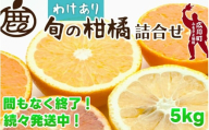 柑橘 詰合せ 5kg+150g 訳あり 光センサー / みかん 不知火 清見 八朔 伊予間 セミノール レモン ３種類以上 詰め合わせ 晩柑 ※1月上旬〜7月中旬に順次発送 ※北海道・沖縄・離島への配送不可【ikd049-c-5A】