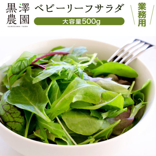 【 業務用 】 黒澤農園 の ベビーリーフサラダ 500g 大容量タイプ 業者向け ベビーリーフ サラダ 生野菜 食べやすい 若葉 ファミリー 旬 新鮮 国産 彩り パーティー 大量 お得パック [DS06-NT] 2150470 - 茨城県つくばみらい市