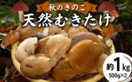 秋のきのこ 天然むきたけ 約1kg（500g×2袋） F2Y-6171