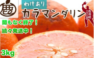 カラマンダリン 3kg+90g(傷み補償分) 家庭用 / カラ カラオレンジ カラみかん 南津海 なつみ 訳あり 和歌山 有田 柑橘 晩柑 ※4月上旬〜6月下旬に順次発送 ※北海道・沖縄・離島への配送不可 [ikd015-c-3A]
