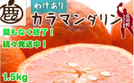 カラマンダリン 1.5kg+45g(痛み保証分) 家庭用 / カラ カラオレンジ カラみかん 南津海 なつみ 訳あり 和歌山 有田 柑橘 晩柑 ※4月上旬〜6月下旬に順次発送 ※北海道・沖縄・離島への配送不可 [ikd015-c-1d5A]