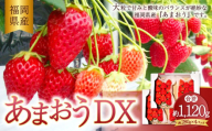 【2026年2月上旬～4月上旬発送予定】 あまおうデラックス 約280g×4パック 計1.12kg 苺 いちご フルーツ 国産 冷蔵