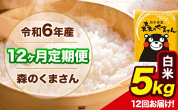 米どころ熊本で人気の森のくまさんをお届けいたします！名称：精米(白米)産地：単一原料米 熊本県産(玉東町産含む)品種：森のくまさん産年：令和6年産内容量：【定期】白米5kg(5kg×1袋)/月×12ヶ