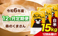 令和6年産 森のくまさん 【12ヶ月定期便】 白米 《お申し込み月の翌月から出荷開始》 15kg (5kg×3袋) 計12回お届け 熊本県産 単一原料米 森くま 熊本県 玉東町