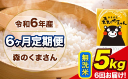米どころ熊本で人気の森のくまさんをお届けいたします！名称：精米(無洗米)産地：単一原料米 熊本県産(玉東町産含む)品種：森のくまさん産年：令和6年産内容量：【定期】無洗米5kg(5kg×1袋)/月×6