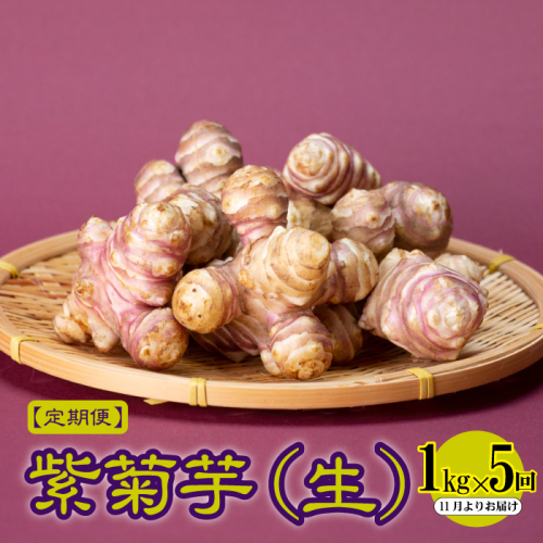 【定期便】紫菊芋（生）1kg×5回　11月よりお届け 2151080 - 島根県邑南町