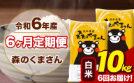 令和6年産 森のくまさん 白米 10kg 5kg×2袋 計6回お届け 《お申し込み月の翌月から出荷開始》 お米 こめ 熊本県産 ご飯 備蓄