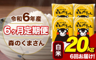 令和6年産 森のくまさん 白米 20kg 5kg×4袋 計6回お届け 《お申し込み月の翌月から出荷開始》 お米 こめ 熊本県産 ご飯 備蓄