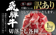 訳あり 飛騨牛 切落し 1kg 冷凍真空パック 飛騨高山ミート | 肉 お肉 切り落とし 薄切り すき焼き すきやき 黒毛和牛 和牛 人気 おすすめ 牛肉 ギフト [MZ035]