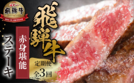 《定期便》全3回 飛騨牛 赤身 ステーキ 肉 飛騨牛 赤身肉 小分け 100g×3P 300g 定期 3回お届け 飛騨高山ミート 39000円 | 冷凍真空パック 肉 お肉 黒毛和牛 和牛 人気 おすすめ 牛肉  [MZ108]