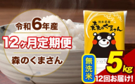 令和6年産 森のくまさん 無洗米 5kg 5kg×1袋 計12回お届け 《お申し込み月の翌月から出荷開始》 お米 こめ 熊本県産 ご飯 備蓄