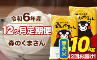 令和6年産 森のくまさん 無洗米 10kg 5kg×2袋 計12回お届け 《お申し込み月の翌月から出荷開始》 お米 こめ 熊本県産 ご飯 備蓄