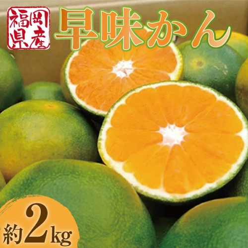 【期間限定発送】 みかん 早味かん 約 2kg [南国フルーツ 福岡県 宇美町 um40azo970030] 福岡県産 ミカン 早生みかん 早生ミカン フルーツ 果物 くだもの 2151266 - 福岡県宇美町