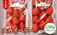 栃木県産 スカイベリー 280g×4P(合計1,120g) | いちご 大粒 栃木県 果物 フルーツ 苺 イチゴ ※2026年1月上旬〜2月下旬頃に順次発送予定