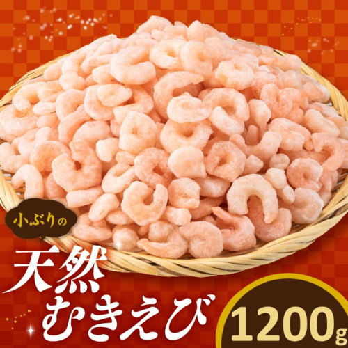 A1497.【バラ凍結で便利】小ぶりの天然むきえび（約1.2キロ） 2151767 - 福岡県新宮町