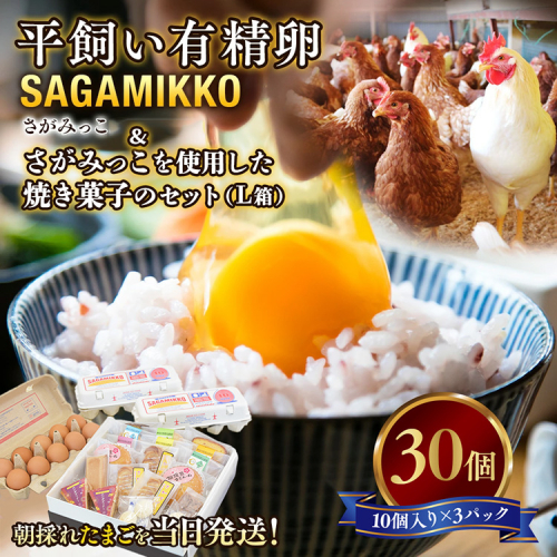 平飼い有精卵さがみっこ30個 と さがみっこを使用した焼き菓子のセット（L箱）　※離島への配送不可 2151768 - 神奈川県相模原市