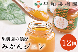 953.【早和果樹園】濃厚みかんジュレ（12個入）（A953-2） 2151777 - 和歌山県有田市
