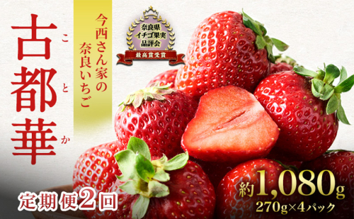 【先行予約】【定期便 2回】今西さん家の奈良いちご いちご 古都華 約1,080g(270g×4パック ) 2151780 - 奈良県大和郡山市