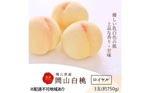 桃 2025年 先行予約 白桃 3玉(約750g)等級：ロイヤル 化粧箱入り もも モモ 岡山県産 国産 フルーツ 果物 セット ギフト 2151783 - 岡山県瀬戸内市