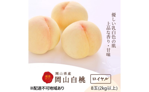 桃 2025年 先行予約 白桃 8玉(2kg以上)等級：ロイヤル 化粧箱入り もも モモ 岡山県産 国産 フルーツ 果物 セット ギフト 2151785 - 岡山県瀬戸内市
