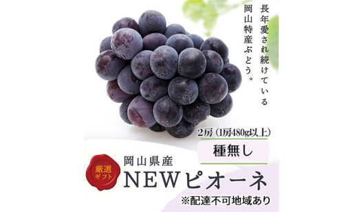 ぶどう 2025年 先行予約 ニューピオーネ 2房(1房480g以上) 化粧箱入り ブドウ 葡萄 岡山県産 国産 フルーツ 果物 ギフト 2151787 - 岡山県瀬戸内市