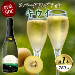 ＼数量限定!／ ＼地元産キウイ100％使用!／ ＼都農ワインで贅沢なひとときを!／ 地元産にこだわったワインの生産を行う「都農ワイン」から『スパークリングワイン キウイ』を返礼品としてご用意いたしまし