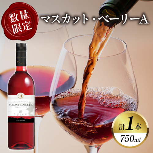 【数量限定】マスカット・ベーリーA (計1本) 酒 飲料 アルコール 国産_T014-024 2151795 - 宮崎県都農町