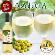 【数量限定】うめわいん(計1本) 酒 飲料 アルコール 国産_T014-029