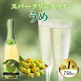 ＼数量限定!／ ＼ワインと梅の夢の共演!／ ＼都農ワインで贅沢なひとときを!／ 地元産にこだわったワインの生産を行う「都農ワイン」から『スパークリングワインうめ』を返礼品としてご用意いたしました。 ●