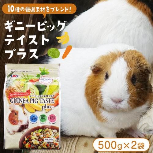 ギニーピッグ テイストプラス 500g × 2袋 ギニーピッグ モルモット 小動物用フード ペットフード おやつ ビタミンC [BU032sa] 2151870 - 茨城県桜川市